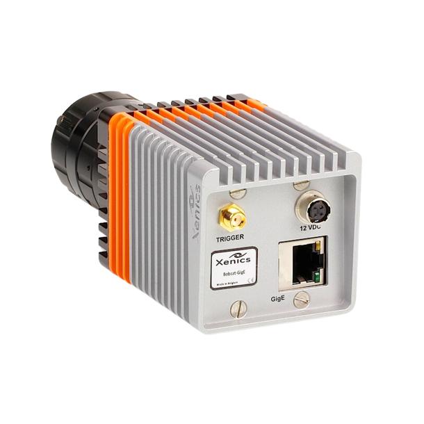 Bobcat image 4 thumbnail