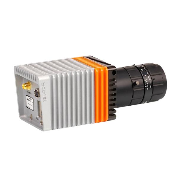 Bobcat image 3 thumbnail