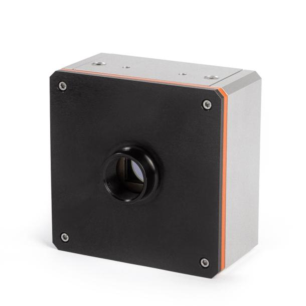 Cheetah image 3 thumbnail